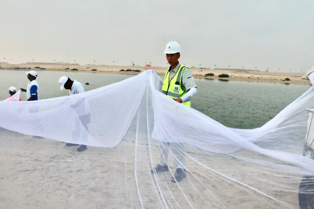 尊龙凯时【最新官网】人生就是搏!