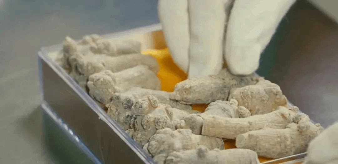 尊龙凯时【最新官网】人生就是搏!