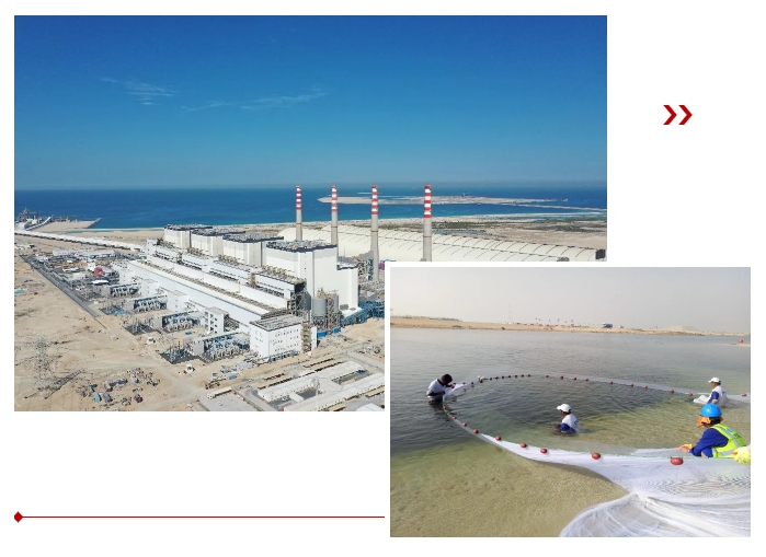 尊龙凯时【最新官网】人生就是搏!