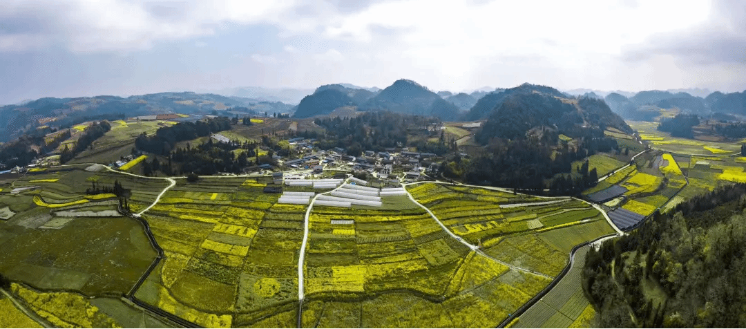 尊龙凯时【最新官网】人生就是搏!