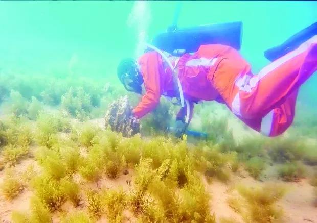 尊龙凯时【最新官网】人生就是搏!