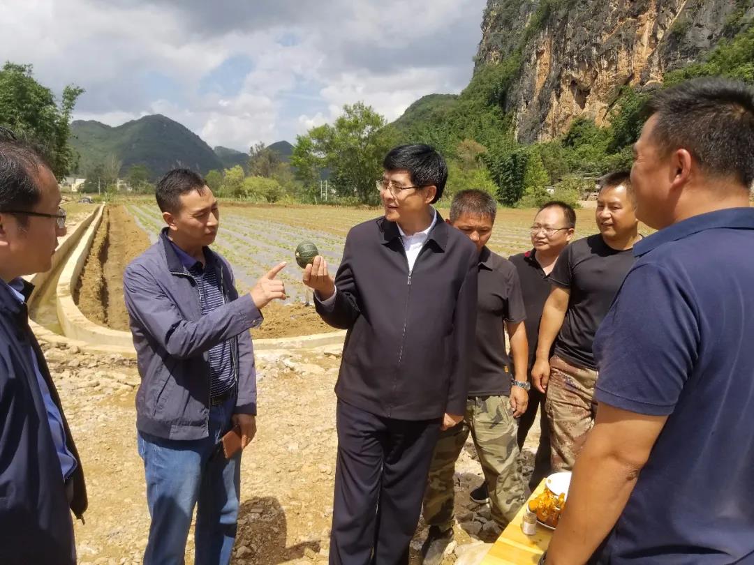 尊龙凯时【最新官网】人生就是搏!