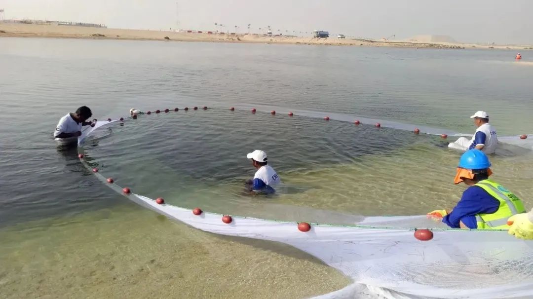 尊龙凯时【最新官网】人生就是搏!