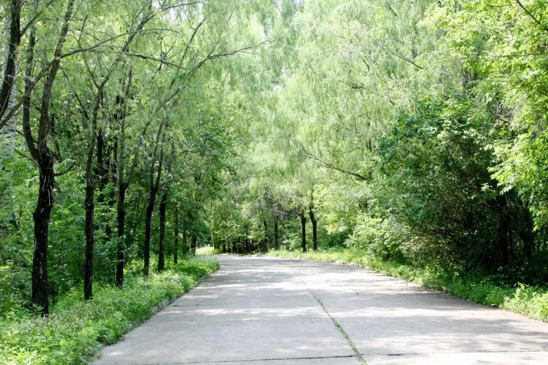 尊龙凯时【最新官网】人生就是搏!