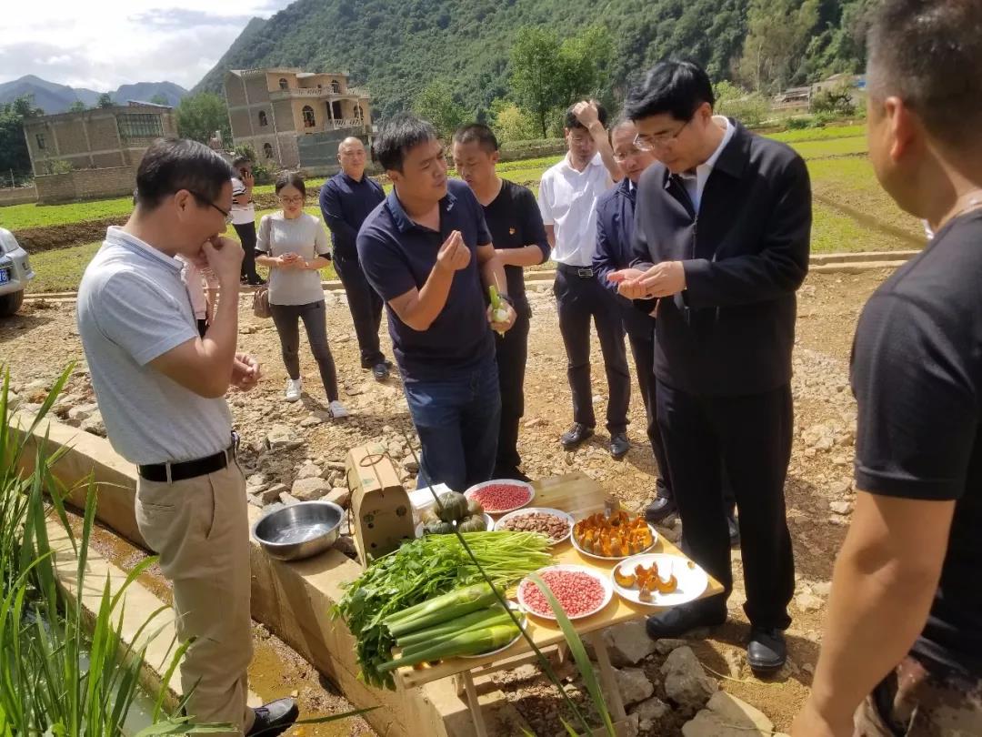 尊龙凯时【最新官网】人生就是搏!