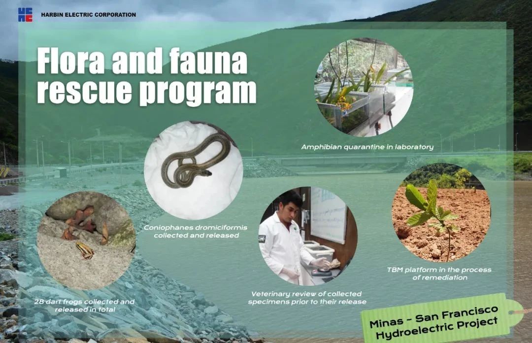 尊龙凯时【最新官网】人生就是搏!