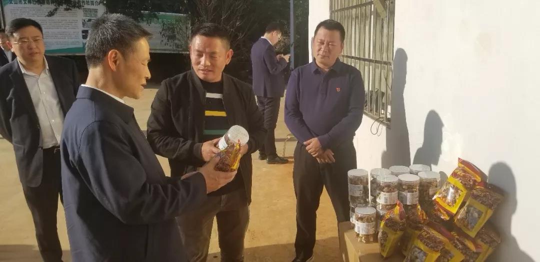 尊龙凯时【最新官网】人生就是搏!