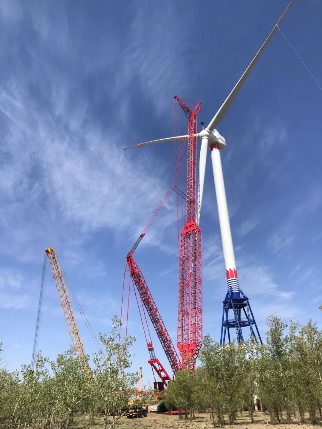 尊龙凯时【最新官网】人生就是搏!