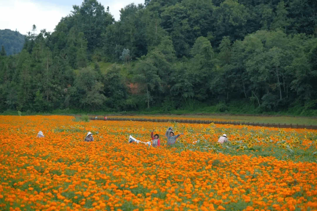 尊龙凯时【最新官网】人生就是搏!