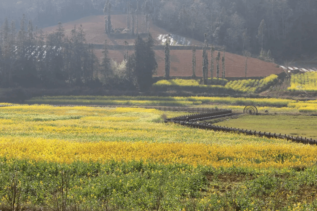 尊龙凯时【最新官网】人生就是搏!