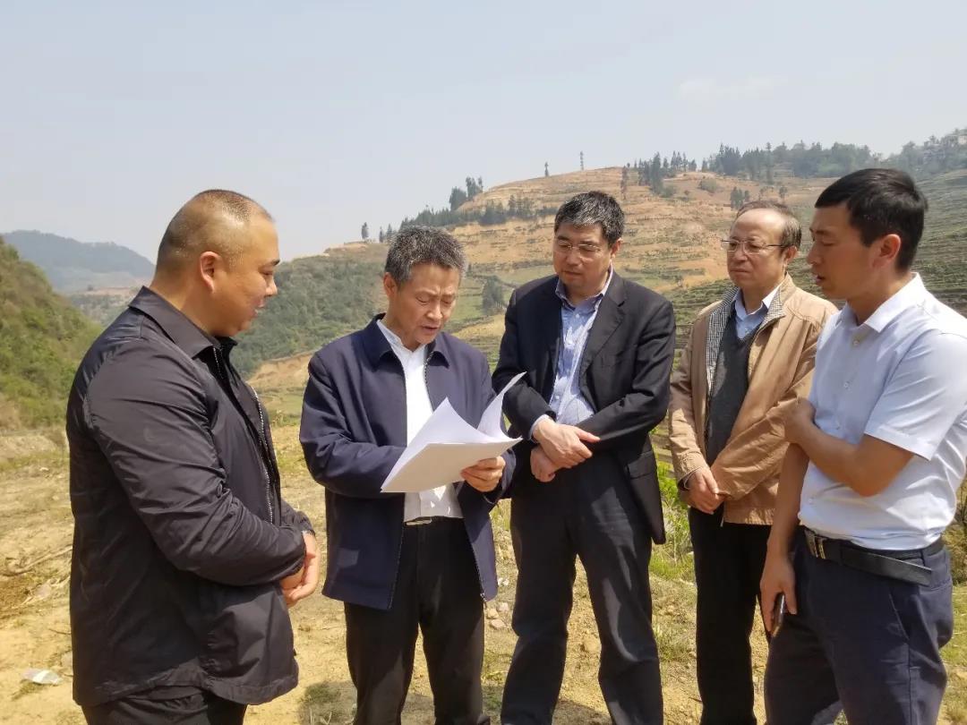 尊龙凯时【最新官网】人生就是搏!