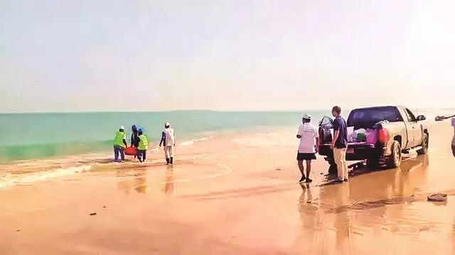 尊龙凯时【最新官网】人生就是搏!